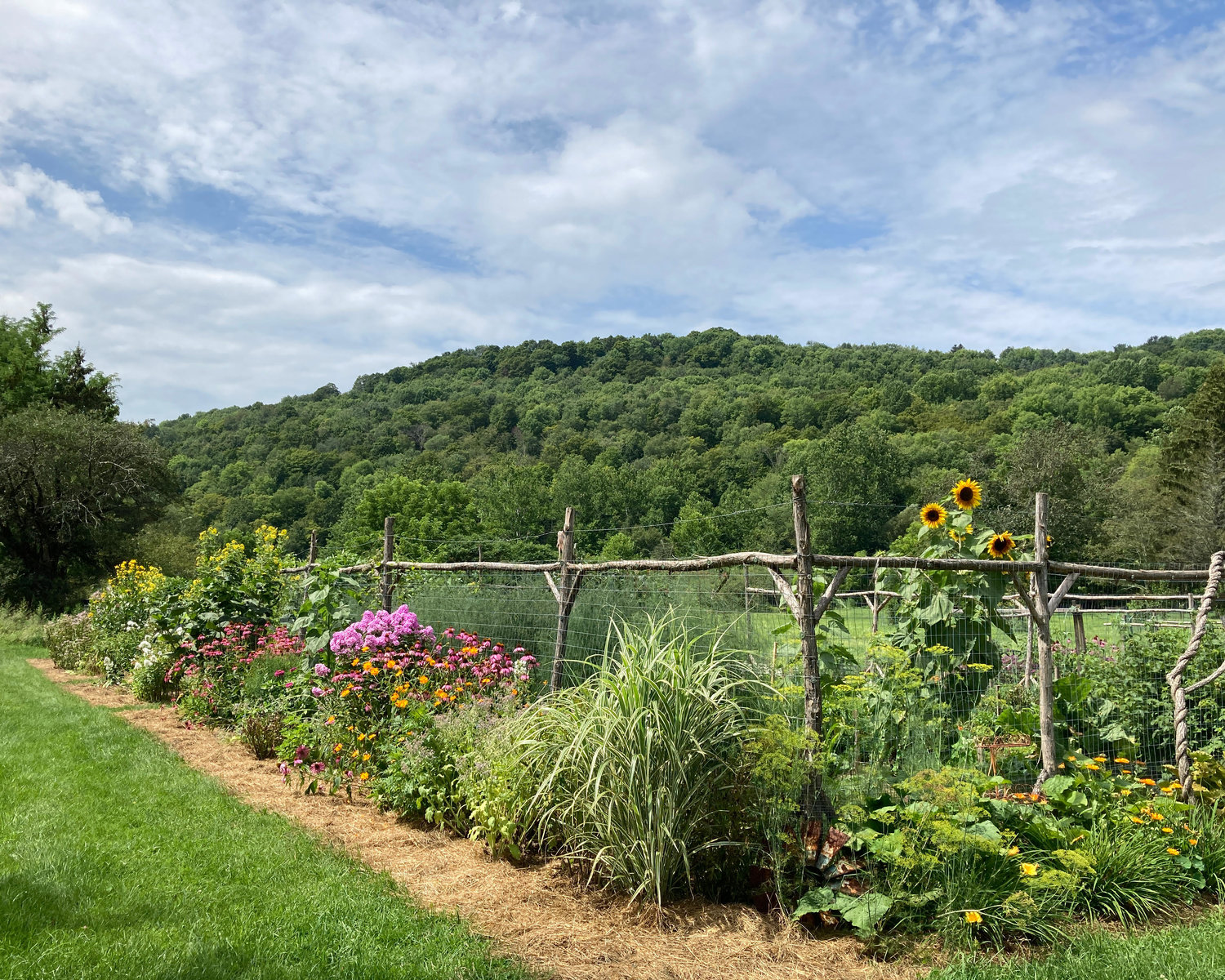 Tour gardens in Bethel, White Sulphur Springs and North Branch on Saturday, August 13.